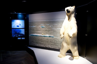Museum Mensch und Natur