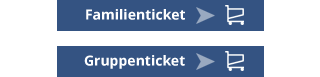 Familienticket, Gruppenticket