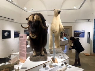Jura Museum Eichstdt
