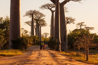 Madagaskar Fotoreise mit Michael Martin
